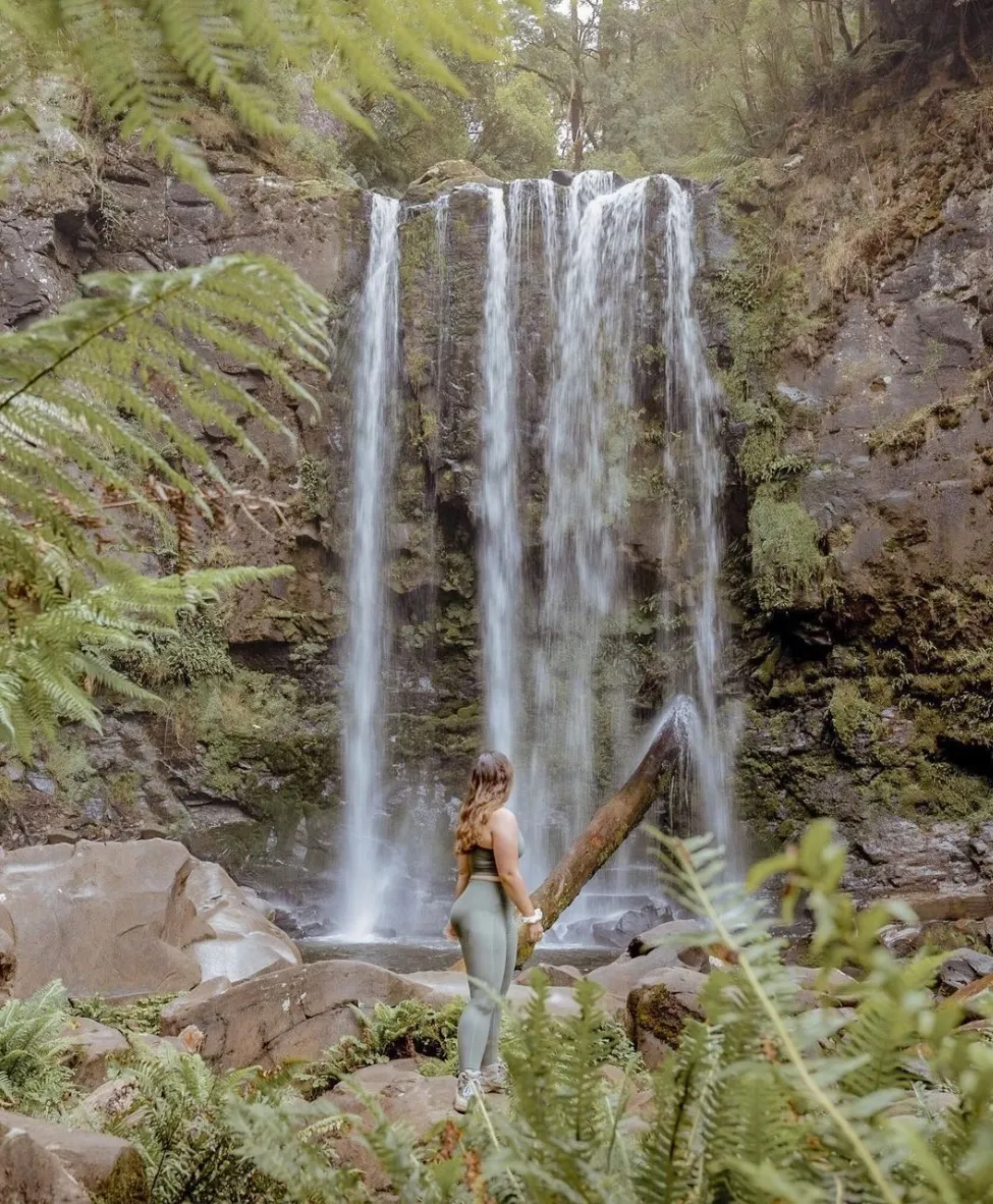 Discovering the Beauty of the Great Otway National Park