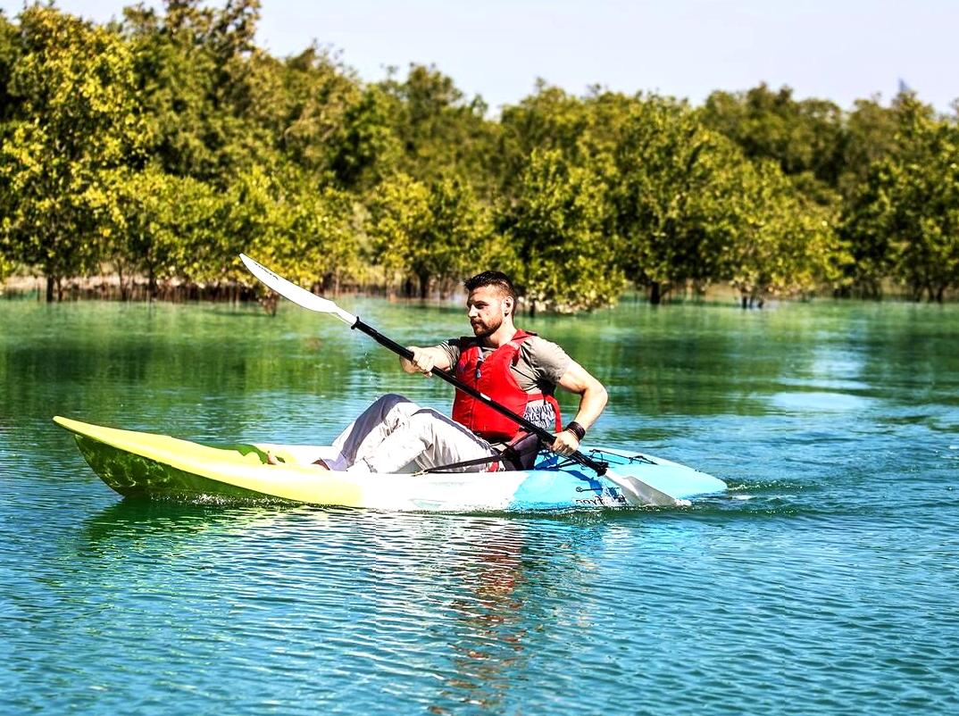 Eco-tour of a Mangrove Forest: Discovering the secrets of mangrove forests on an eco-tour.