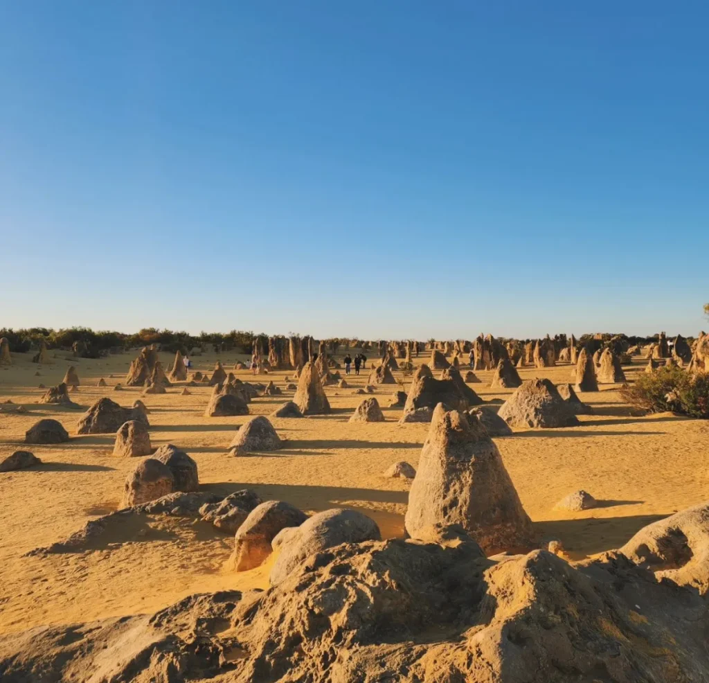 Nambung National Park