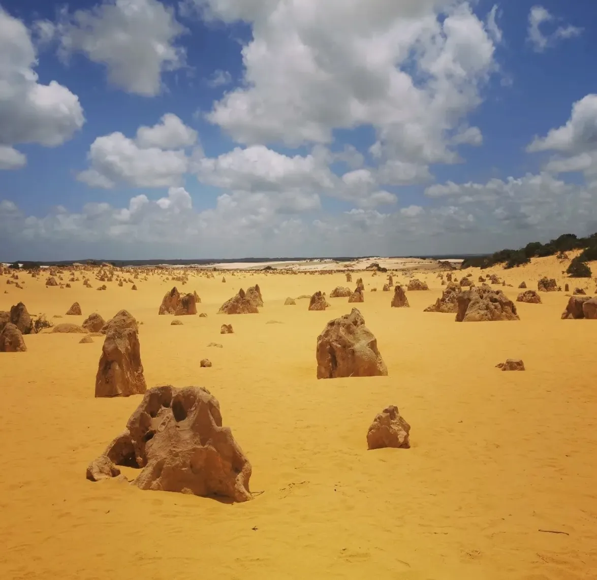 Navigating the Pinnacles Desert