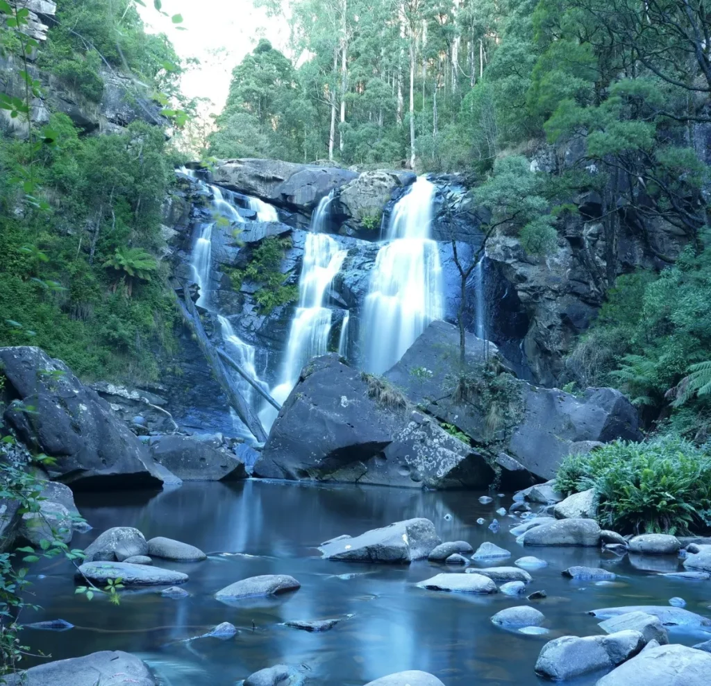 Stevensons Falls