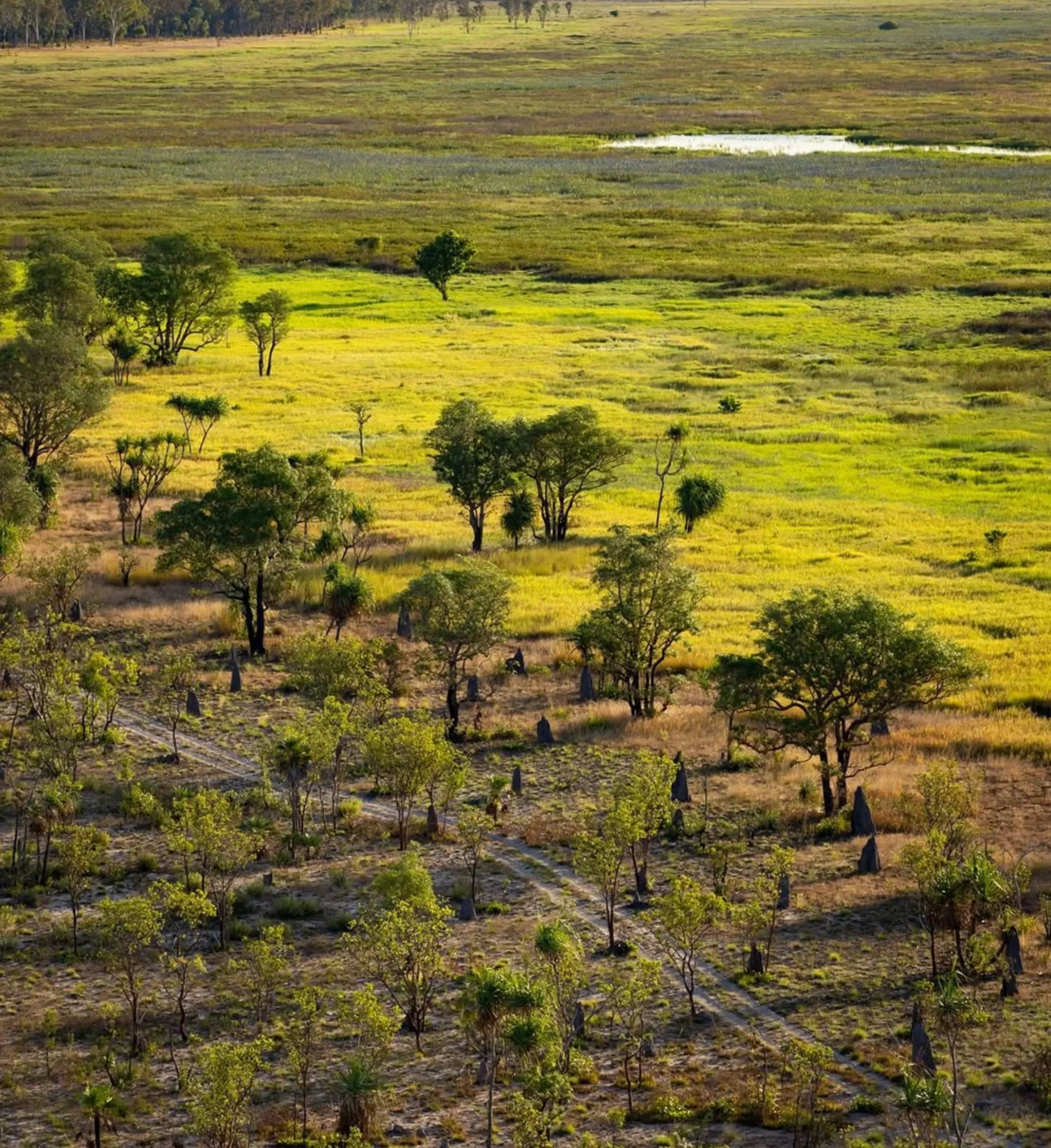 Beautiful Landscapes, Kakadu