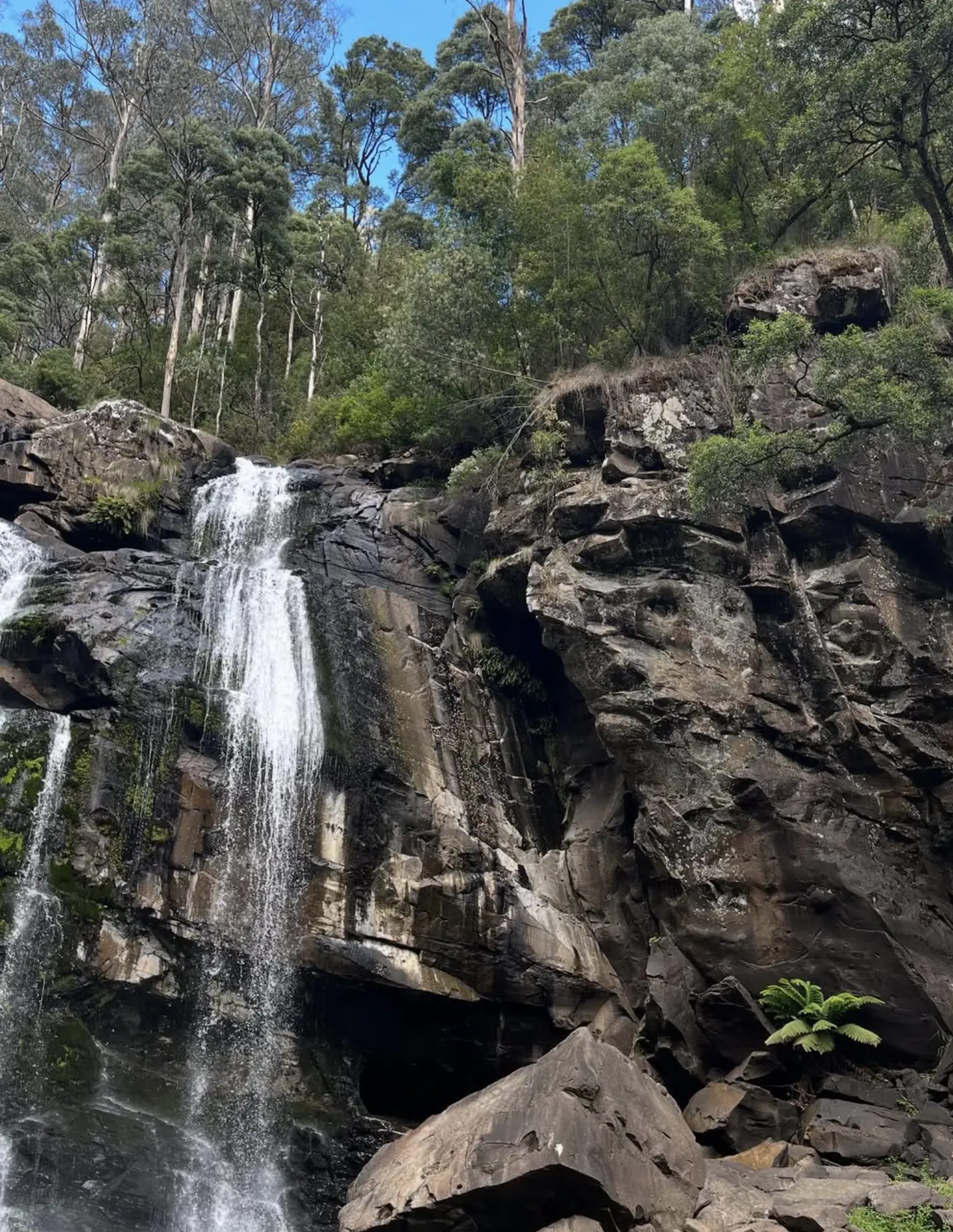 Great Otway National Park