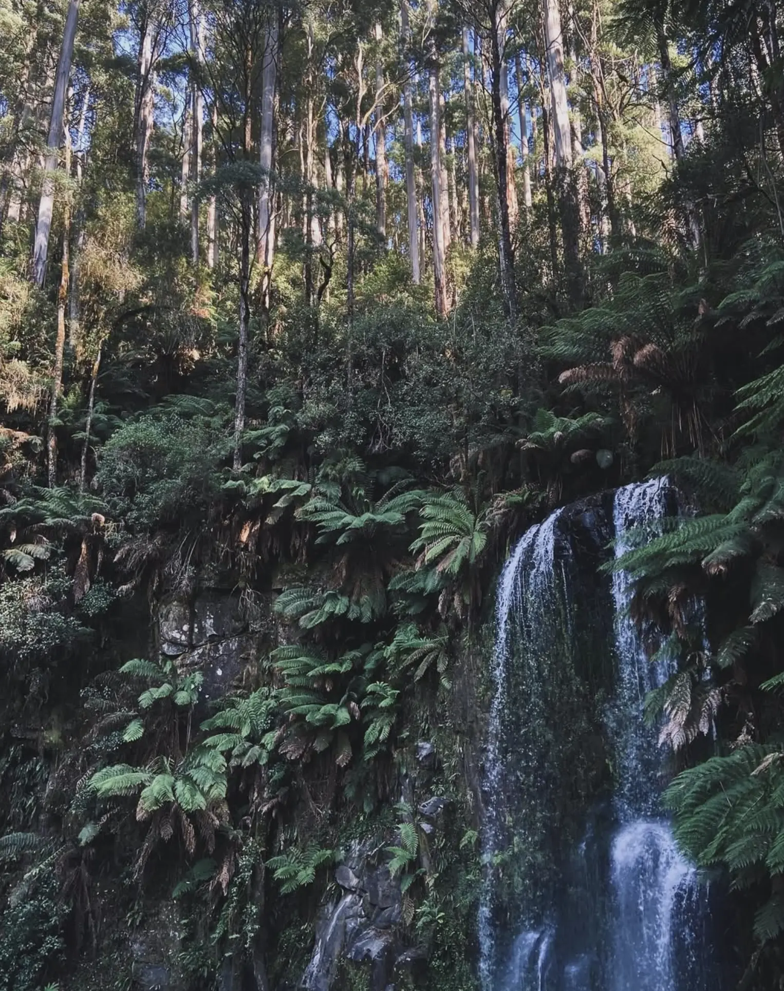 Hopetoun Falls