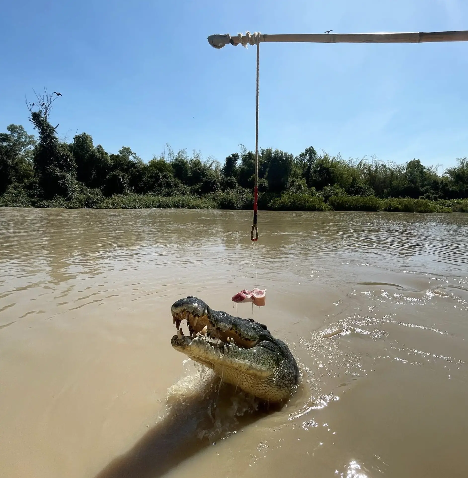 Northern Territory Nature