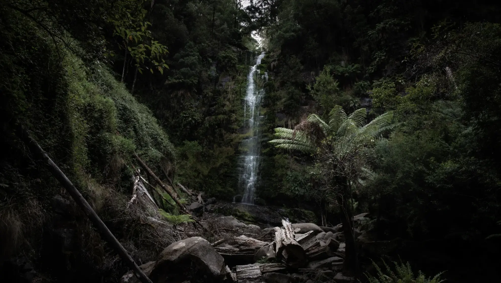 Otways Waterfalls