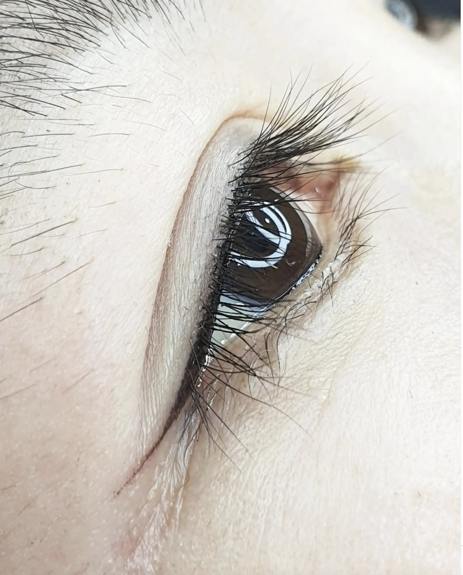 Melbourne artist applying eyeliner tattoo
