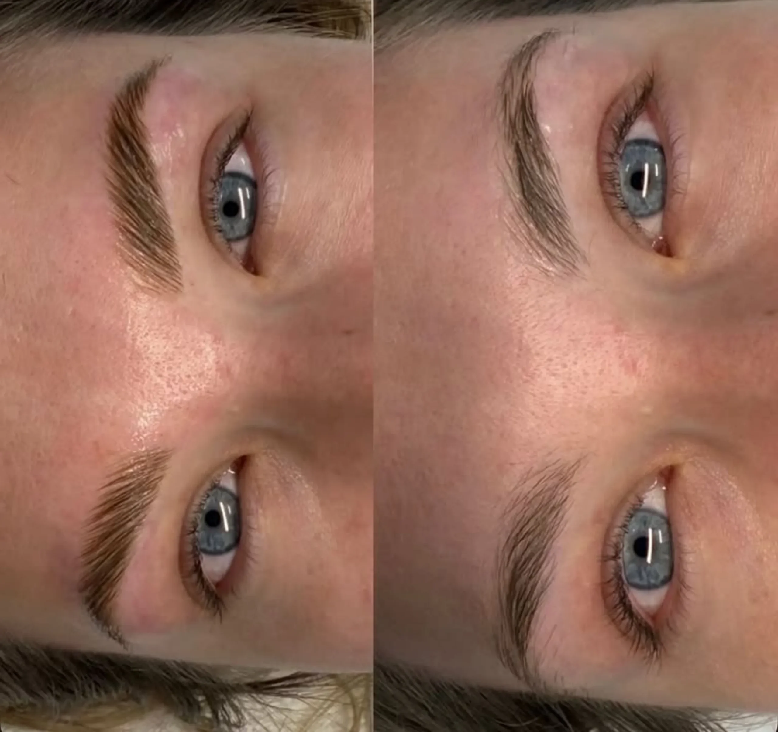 powder brows vs tinting