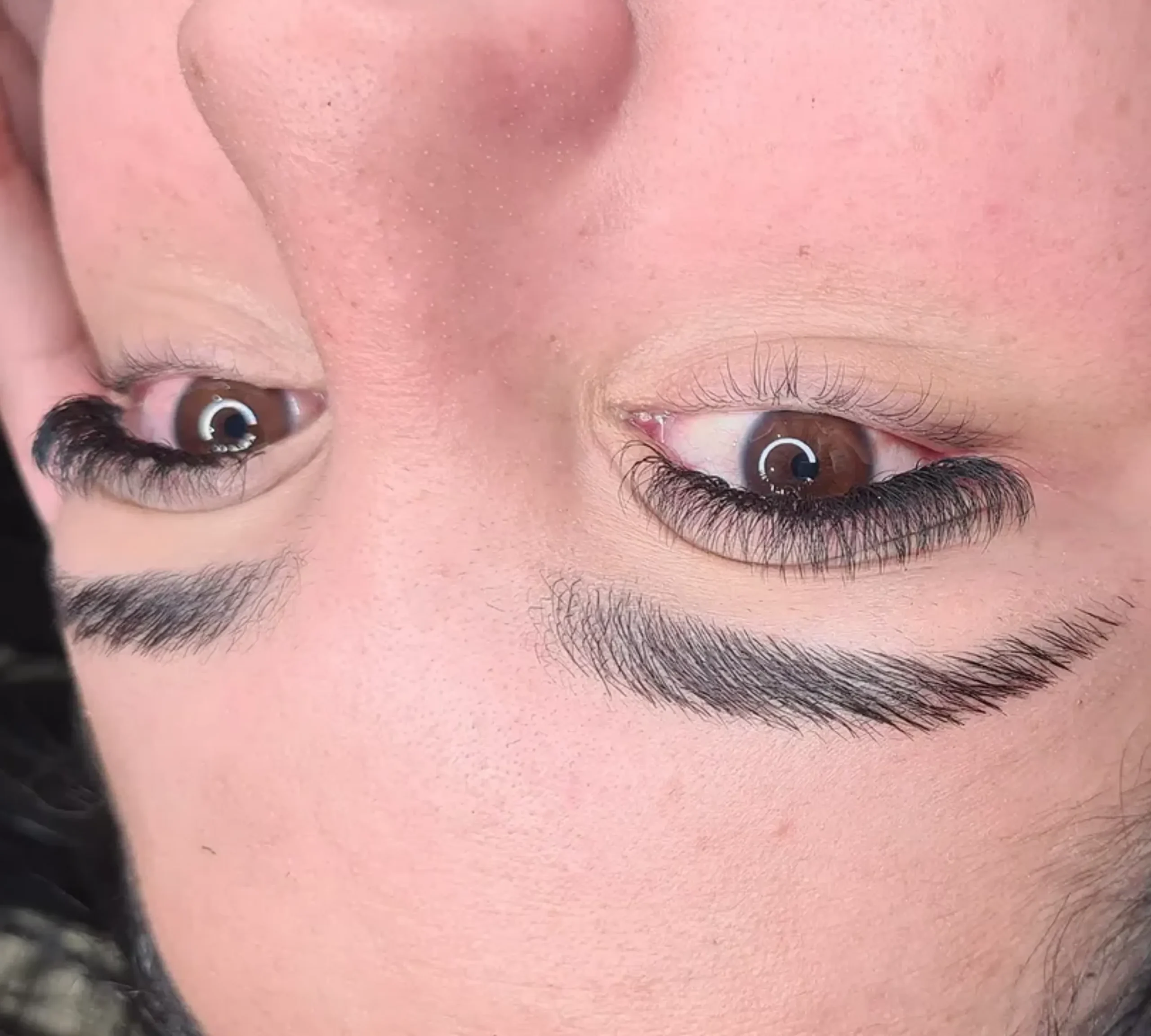best professional eyebrow tints
